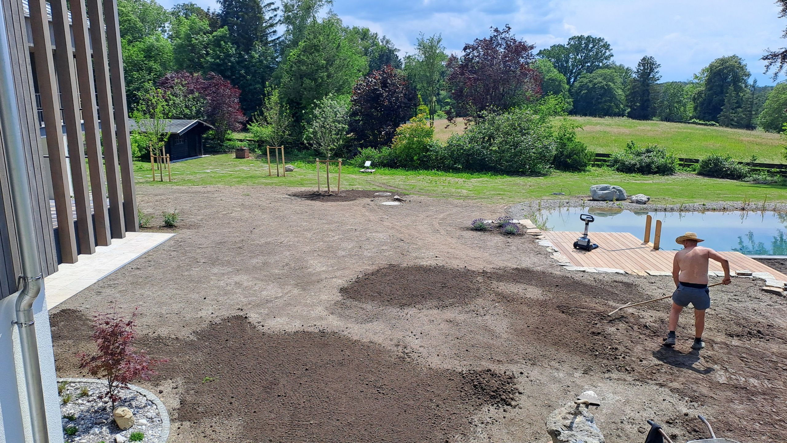 Feinplanum mit Rasenansaat